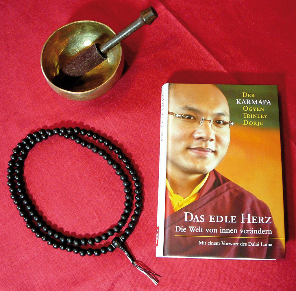 Gesellschaftskritik vom Karmapa