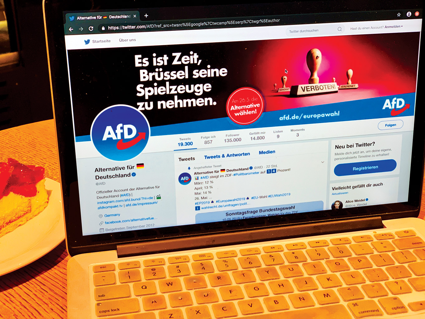Online Wahlkampf in Deutschland